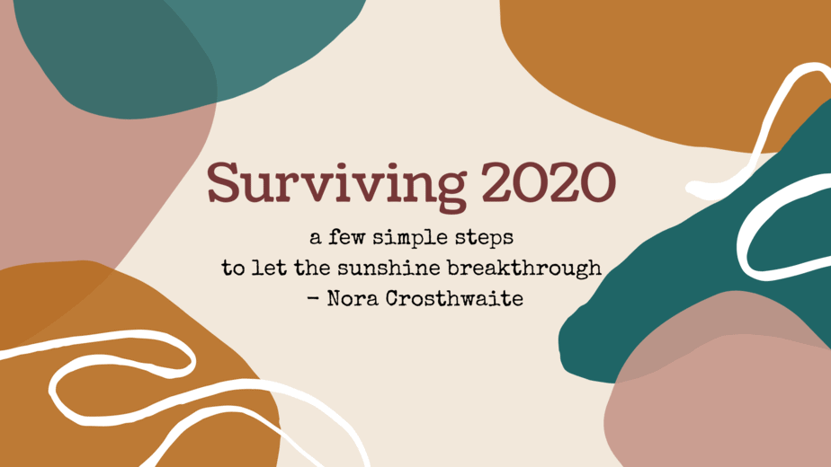 Read more about the article Surviving 2020