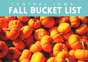 Read more about the article Fall Bucket List
